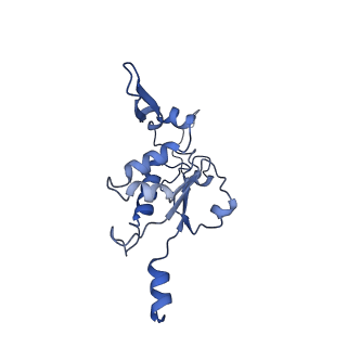 12923_7oia_K_v1-1
Cryo-EM structure of late human 39S mitoribosome assembly intermediates, state 3C