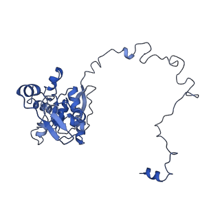 12923_7oia_M_v1-1
Cryo-EM structure of late human 39S mitoribosome assembly intermediates, state 3C