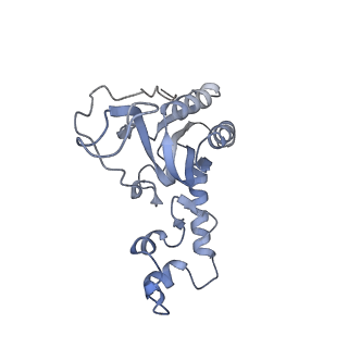 12923_7oia_N_v1-1
Cryo-EM structure of late human 39S mitoribosome assembly intermediates, state 3C