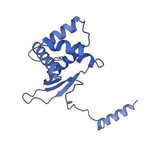 12923_7oia_O_v1-1
Cryo-EM structure of late human 39S mitoribosome assembly intermediates, state 3C