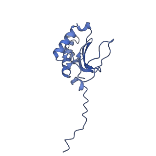 12923_7oia_P_v1-1
Cryo-EM structure of late human 39S mitoribosome assembly intermediates, state 3C