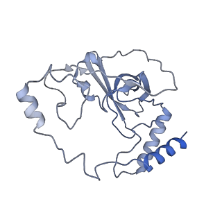 12923_7oia_Q_v1-1
Cryo-EM structure of late human 39S mitoribosome assembly intermediates, state 3C