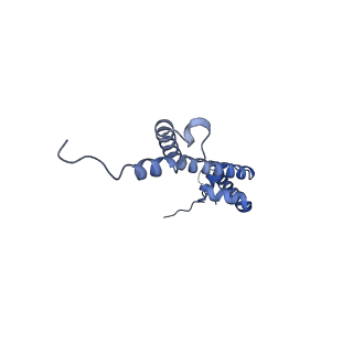 12923_7oia_R_v1-1
Cryo-EM structure of late human 39S mitoribosome assembly intermediates, state 3C