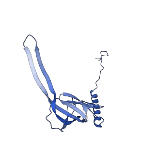 12923_7oia_S_v1-1
Cryo-EM structure of late human 39S mitoribosome assembly intermediates, state 3C