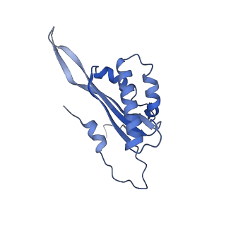 12923_7oia_T_v1-1
Cryo-EM structure of late human 39S mitoribosome assembly intermediates, state 3C