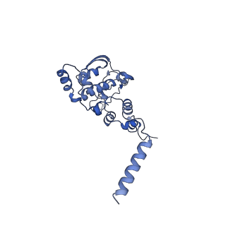 12923_7oia_X_v1-1
Cryo-EM structure of late human 39S mitoribosome assembly intermediates, state 3C