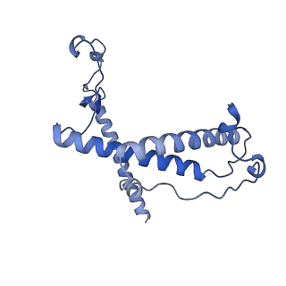 12923_7oia_Y_v1-1
Cryo-EM structure of late human 39S mitoribosome assembly intermediates, state 3C