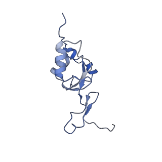 12923_7oia_Z_v1-1
Cryo-EM structure of late human 39S mitoribosome assembly intermediates, state 3C