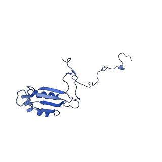 12923_7oia_b_v1-1
Cryo-EM structure of late human 39S mitoribosome assembly intermediates, state 3C