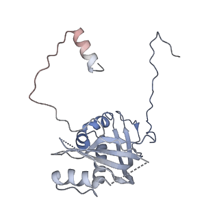 12923_7oia_d_v1-1
Cryo-EM structure of late human 39S mitoribosome assembly intermediates, state 3C