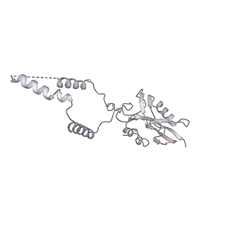 12923_7oia_e_v1-1
Cryo-EM structure of late human 39S mitoribosome assembly intermediates, state 3C