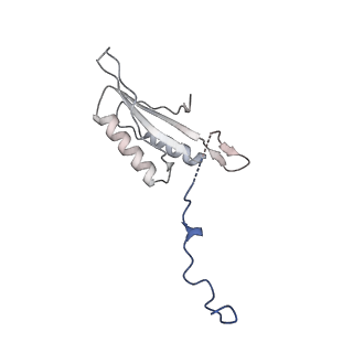 12923_7oia_f_v1-1
Cryo-EM structure of late human 39S mitoribosome assembly intermediates, state 3C