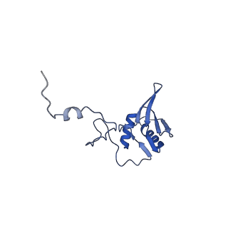 12923_7oia_g_v1-1
Cryo-EM structure of late human 39S mitoribosome assembly intermediates, state 3C