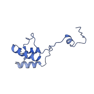 12923_7oia_h_v1-1
Cryo-EM structure of late human 39S mitoribosome assembly intermediates, state 3C