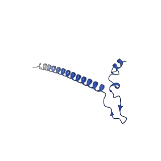 12923_7oia_j_v1-1
Cryo-EM structure of late human 39S mitoribosome assembly intermediates, state 3C