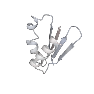 12923_7oia_k_v1-1
Cryo-EM structure of late human 39S mitoribosome assembly intermediates, state 3C
