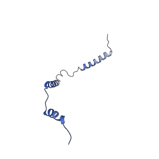 12923_7oia_o_v1-1
Cryo-EM structure of late human 39S mitoribosome assembly intermediates, state 3C