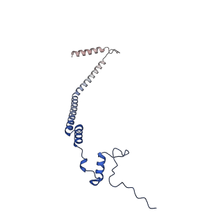 12923_7oia_q_v1-1
Cryo-EM structure of late human 39S mitoribosome assembly intermediates, state 3C