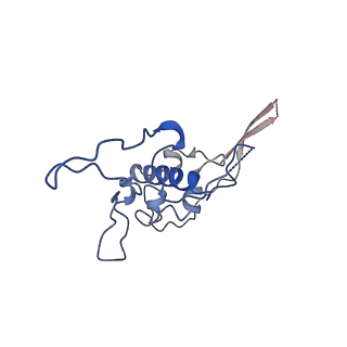 12923_7oia_r_v1-1
Cryo-EM structure of late human 39S mitoribosome assembly intermediates, state 3C