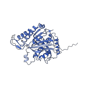 12923_7oia_s_v1-1
Cryo-EM structure of late human 39S mitoribosome assembly intermediates, state 3C