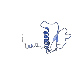 12924_7oib_0_v1-1
Cryo-EM structure of late human 39S mitoribosome assembly intermediates, state 3D