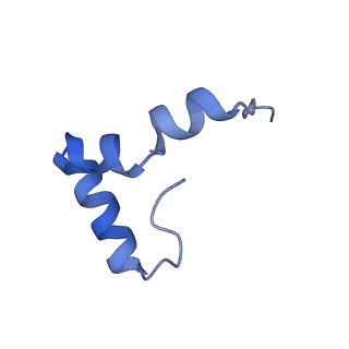 12924_7oib_2_v1-1
Cryo-EM structure of late human 39S mitoribosome assembly intermediates, state 3D