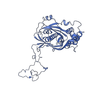 12924_7oib_5_v1-1
Cryo-EM structure of late human 39S mitoribosome assembly intermediates, state 3D