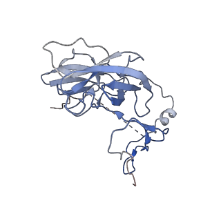 12924_7oib_D_v1-1
Cryo-EM structure of late human 39S mitoribosome assembly intermediates, state 3D
