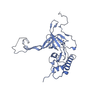 12924_7oib_E_v1-1
Cryo-EM structure of late human 39S mitoribosome assembly intermediates, state 3D