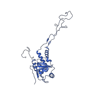 12924_7oib_F_v1-1
Cryo-EM structure of late human 39S mitoribosome assembly intermediates, state 3D