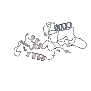 12924_7oib_J_v1-1
Cryo-EM structure of late human 39S mitoribosome assembly intermediates, state 3D