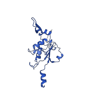 12924_7oib_K_v1-1
Cryo-EM structure of late human 39S mitoribosome assembly intermediates, state 3D