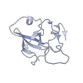 12924_7oib_L_v1-1
Cryo-EM structure of late human 39S mitoribosome assembly intermediates, state 3D