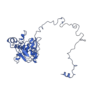 12924_7oib_M_v1-1
Cryo-EM structure of late human 39S mitoribosome assembly intermediates, state 3D