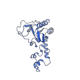 12924_7oib_N_v1-1
Cryo-EM structure of late human 39S mitoribosome assembly intermediates, state 3D