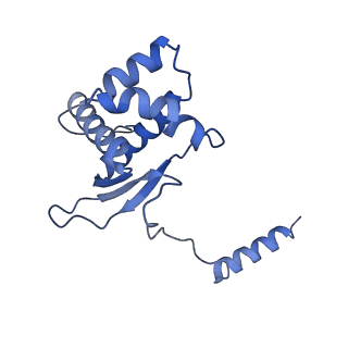 12924_7oib_O_v1-1
Cryo-EM structure of late human 39S mitoribosome assembly intermediates, state 3D