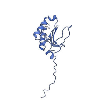 12924_7oib_P_v1-1
Cryo-EM structure of late human 39S mitoribosome assembly intermediates, state 3D