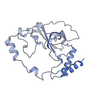 12924_7oib_Q_v1-1
Cryo-EM structure of late human 39S mitoribosome assembly intermediates, state 3D