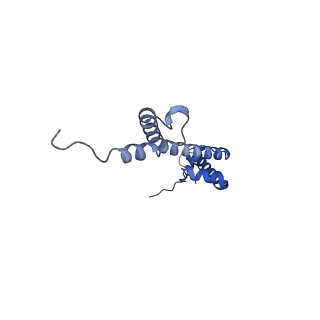 12924_7oib_R_v1-1
Cryo-EM structure of late human 39S mitoribosome assembly intermediates, state 3D