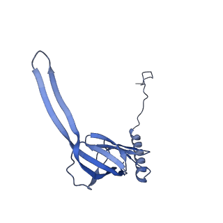 12924_7oib_S_v1-1
Cryo-EM structure of late human 39S mitoribosome assembly intermediates, state 3D