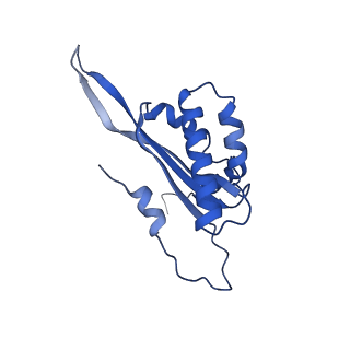 12924_7oib_T_v1-1
Cryo-EM structure of late human 39S mitoribosome assembly intermediates, state 3D