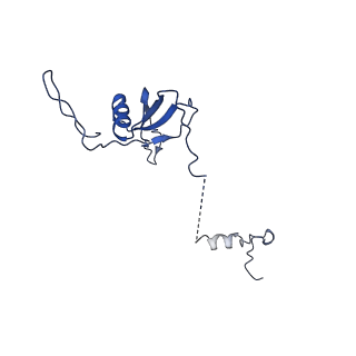12924_7oib_U_v1-1
Cryo-EM structure of late human 39S mitoribosome assembly intermediates, state 3D