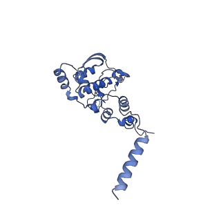 12924_7oib_X_v1-1
Cryo-EM structure of late human 39S mitoribosome assembly intermediates, state 3D
