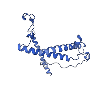 12924_7oib_Y_v1-1
Cryo-EM structure of late human 39S mitoribosome assembly intermediates, state 3D