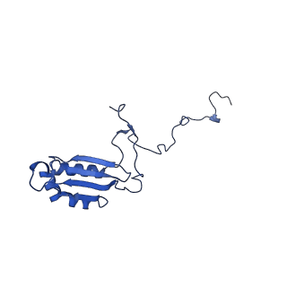12924_7oib_b_v1-1
Cryo-EM structure of late human 39S mitoribosome assembly intermediates, state 3D