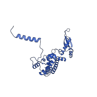 12924_7oib_c_v1-1
Cryo-EM structure of late human 39S mitoribosome assembly intermediates, state 3D