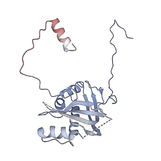 12924_7oib_d_v1-1
Cryo-EM structure of late human 39S mitoribosome assembly intermediates, state 3D