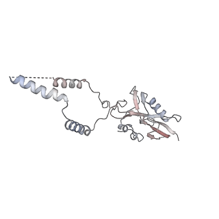 12924_7oib_e_v1-1
Cryo-EM structure of late human 39S mitoribosome assembly intermediates, state 3D