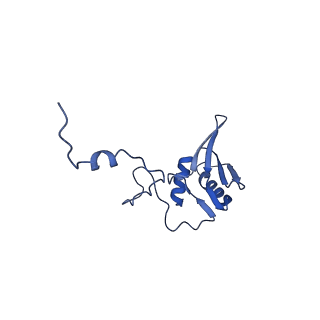 12924_7oib_g_v1-1
Cryo-EM structure of late human 39S mitoribosome assembly intermediates, state 3D