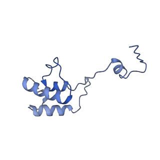 12924_7oib_h_v1-1
Cryo-EM structure of late human 39S mitoribosome assembly intermediates, state 3D
